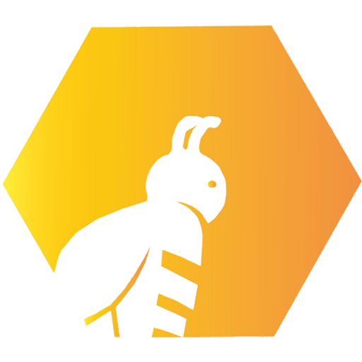 Bee Designs IT Solution